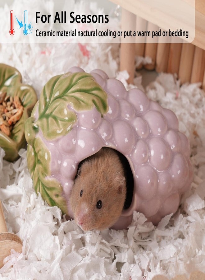 Deapeey Ceramic Hamster Hideout,Grape Dwarf Hamster House,Guinea Pig Habitat Decor, Hideaway House for Gerbil, Cool Bed for All Season - Image 2